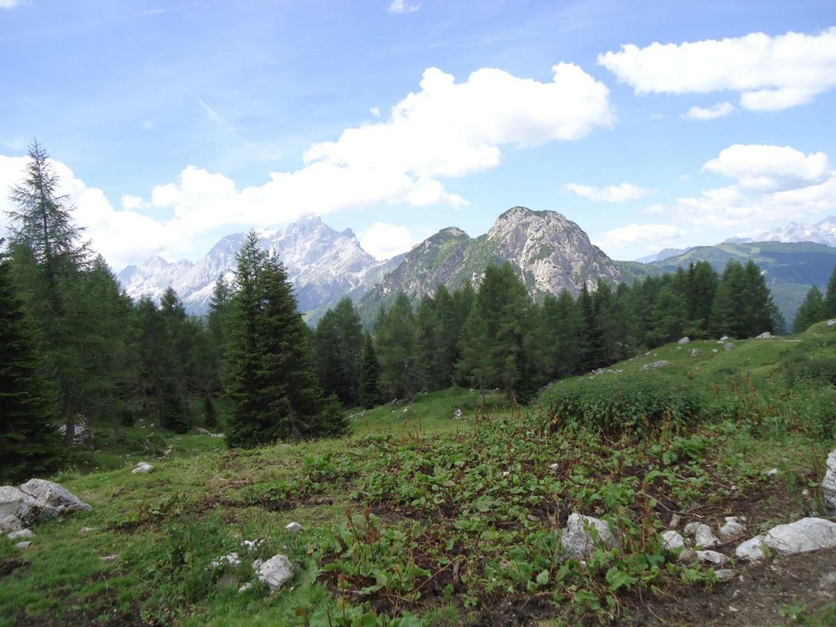 Sweet Home Cortina dʼAmpezzo Exteriér fotografie